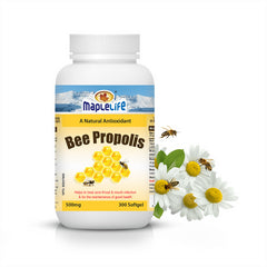 Bee Propolis Softgel