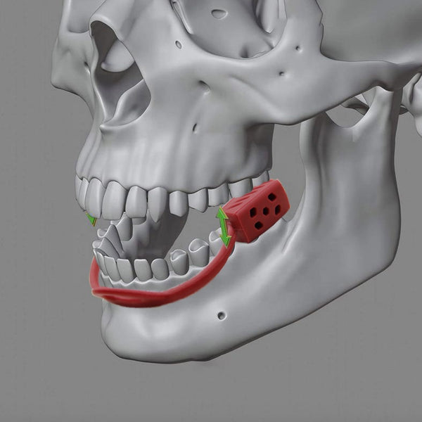 Jaw Exerciser - Healthcare Shops