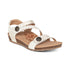 products/SC361W_catalog.jpg