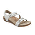 products/SC453W_catalog.jpg